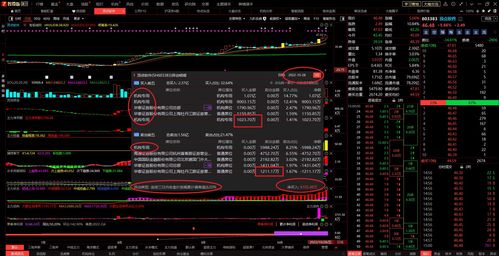 情緒冰點(diǎn)中靜候企穩(wěn) 2022年10月28日信息系統(tǒng)集成服務(wù)漲停板復(fù)盤